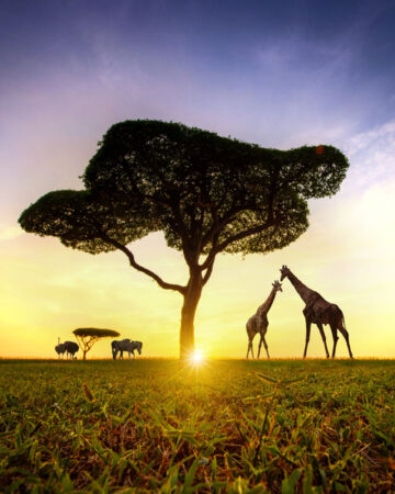 Kenia 